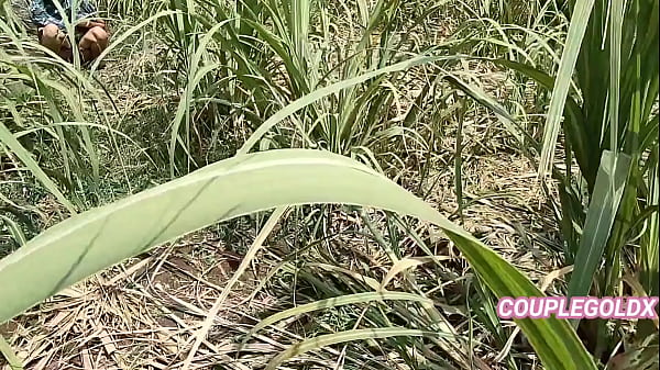 Goldx Sneaks Up On Sexy Komal Pissing In The Field